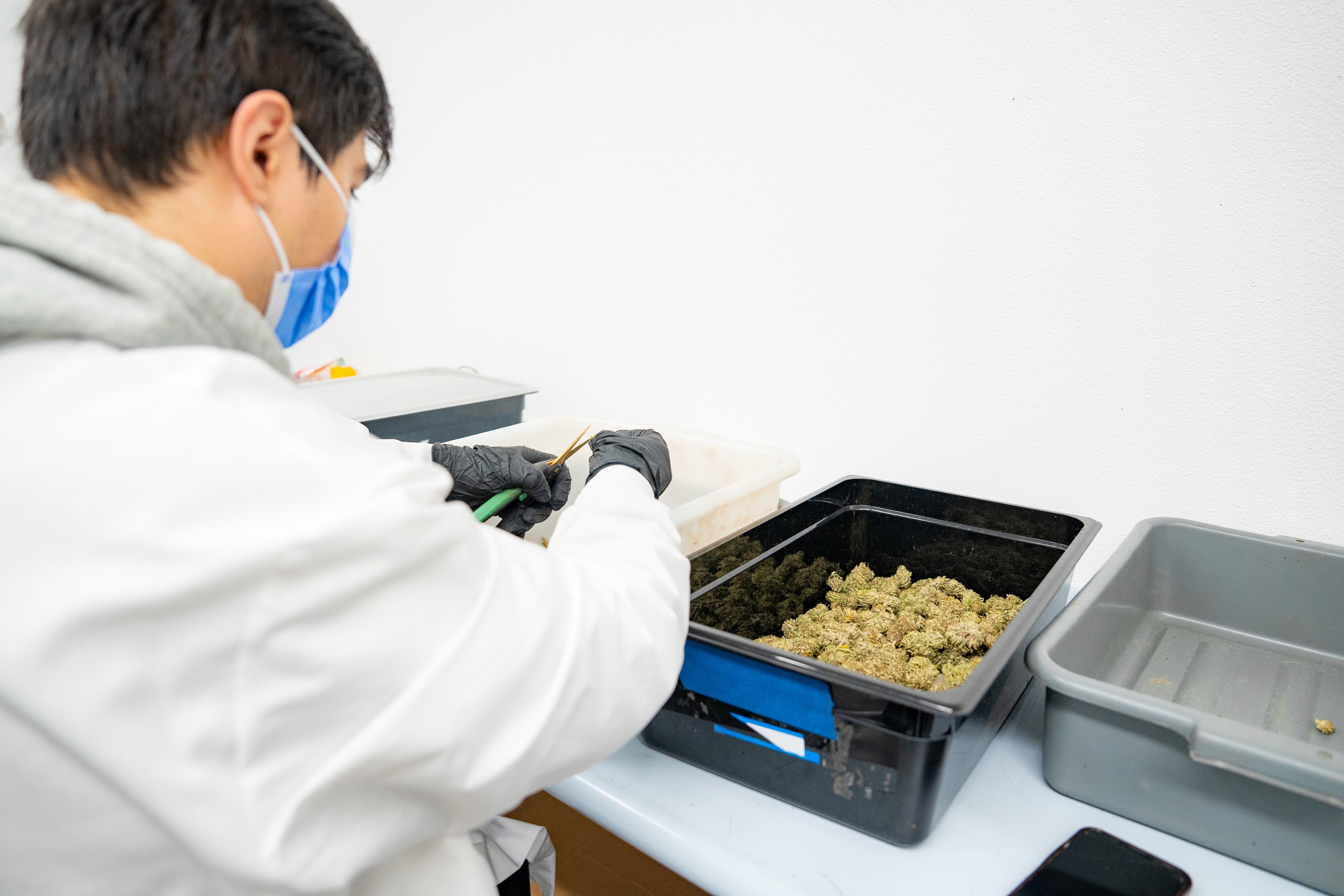 Inside the Lab: How Hemp Product Formulation Really Works – HH WHOLESALE