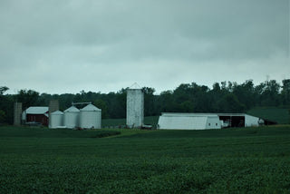 white and gray building on green grass field under white sky during daytime