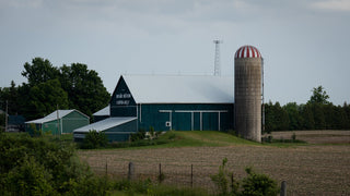 Green barn and silo on a farm